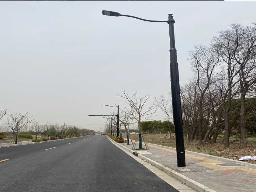 盈江县上海综合杆 太阳能路灯工程